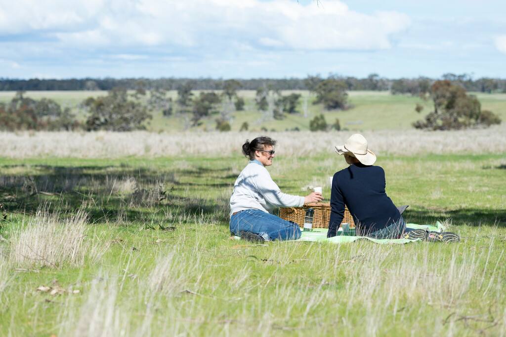 Peaceful Picnic Spot