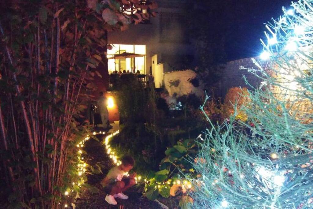 the garden at night