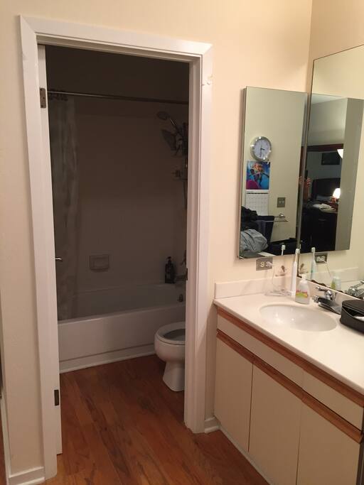 Master bathroom
