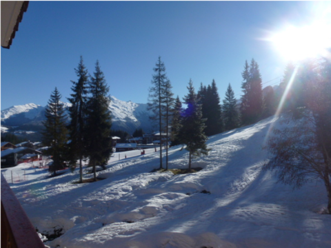 Successful Airbnb property: Ski-in ski-out apartment, Mountain view in Morillon