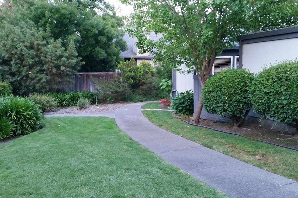 Path to front Entry. Very tucked away.