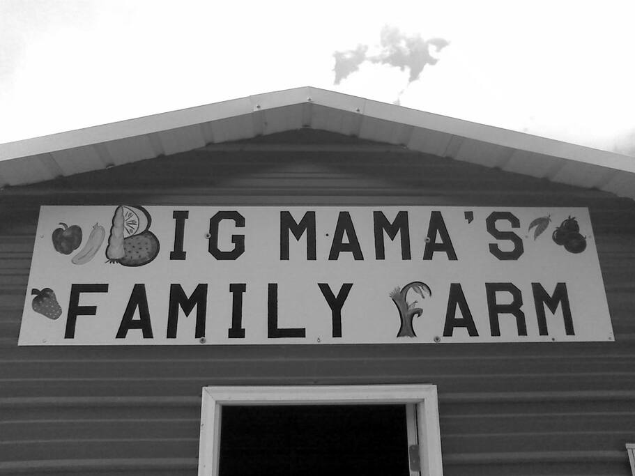 Home to chickens goats and a farm dog