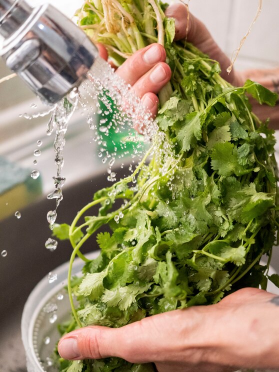 Show full-screen, host-provided image