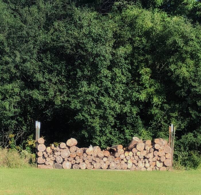 Here is the Firewood!!! Help yourself while your here