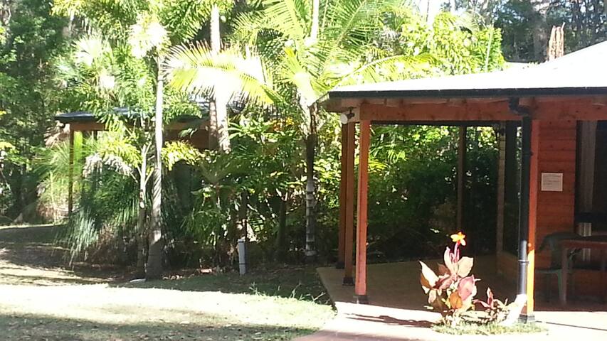 Oasis by South West Rocks 1 * gallery image 4