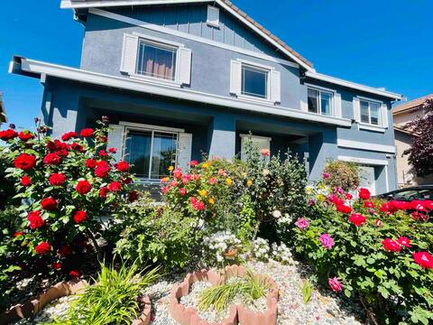 3000 SF. OF POSH RETREAT IN WINE COUNTRY NEAR NAPA
