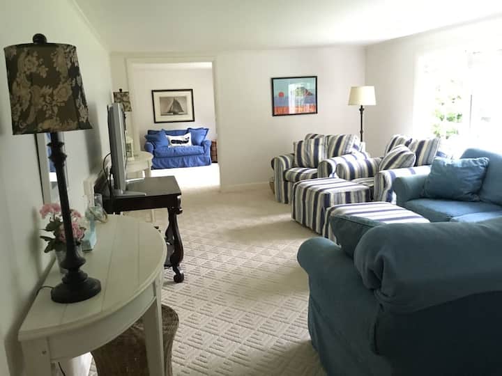 客厅（我们不再有地毯，相反，我们有漂亮的硬木地板，配有海军蓝区地毯-照片即将更新）