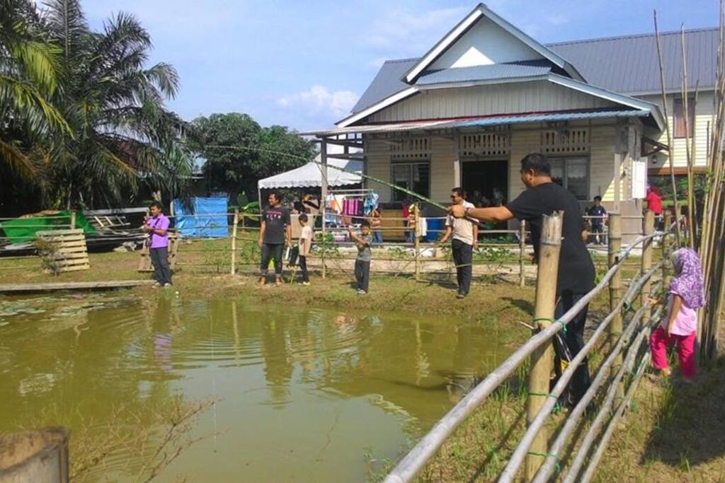fishing pond behind the house