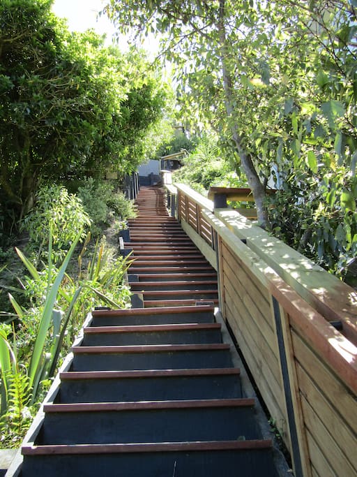 Some of the 112 Steps to the house! This is taken from the bottom, you walk down the stairs from the road to get to the house.