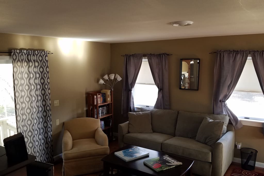 Comfy pull out sofa