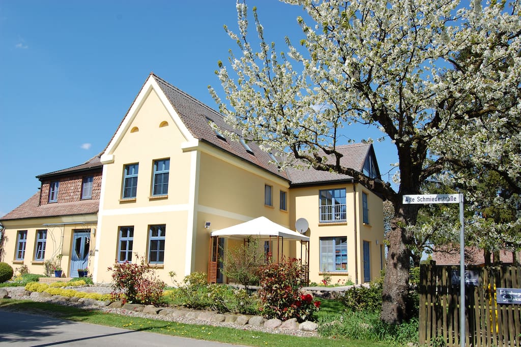 Haus auf der Spukwiese während der Kirschblüte