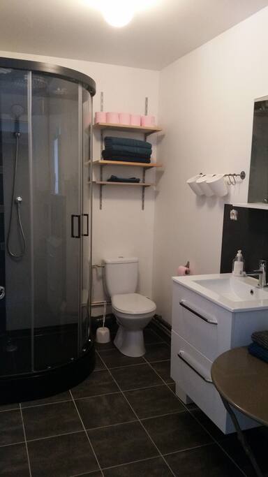 salle de bain avec douche et WC
