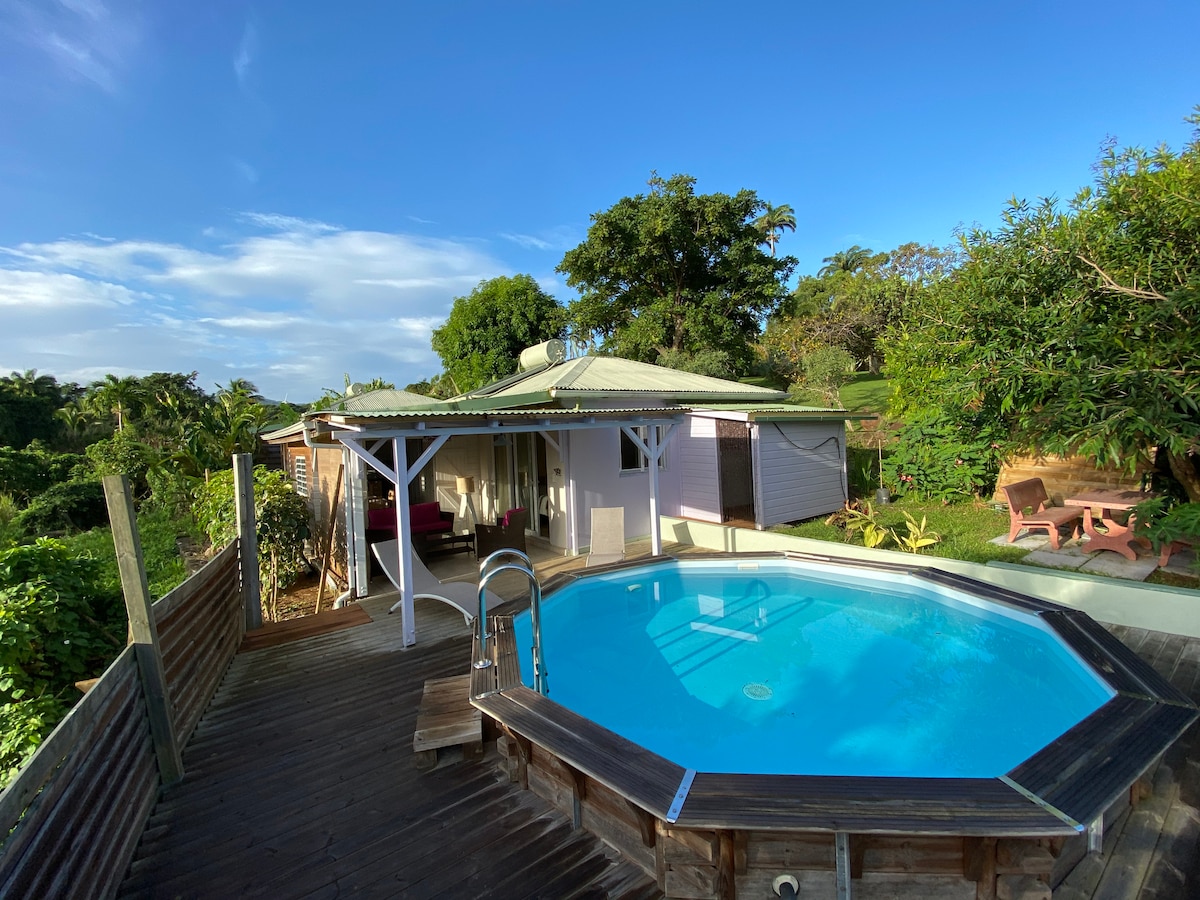 The image showcases a private octagonal pool surrounded by a wooden deck. Adjacent to the pool, an outdoor seating area is visible, complemented by lush greenery in the background. A roofed structure provides shade, enhancing the outdoor living space.