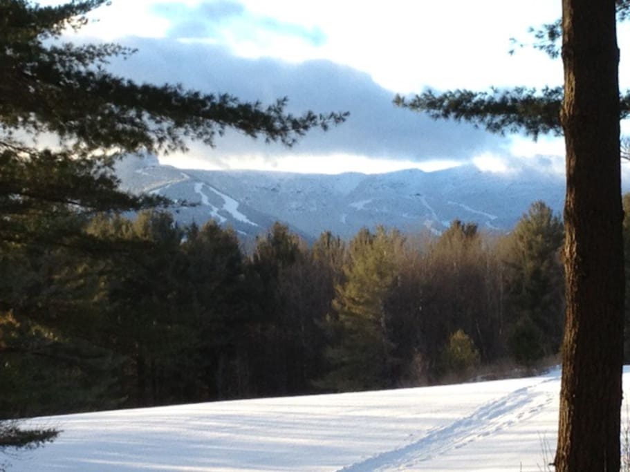 A view of Mt Mansfield from a xc trail 200 yards from the chalet