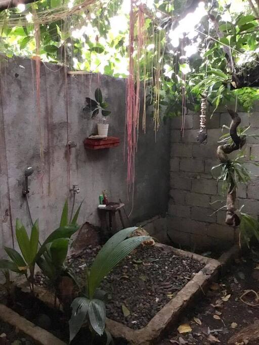 Open roof toilet rounded with nature