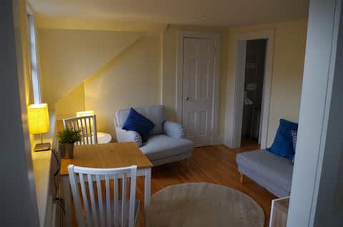 Sunny 1-bed apt in central Boston's Bay Village