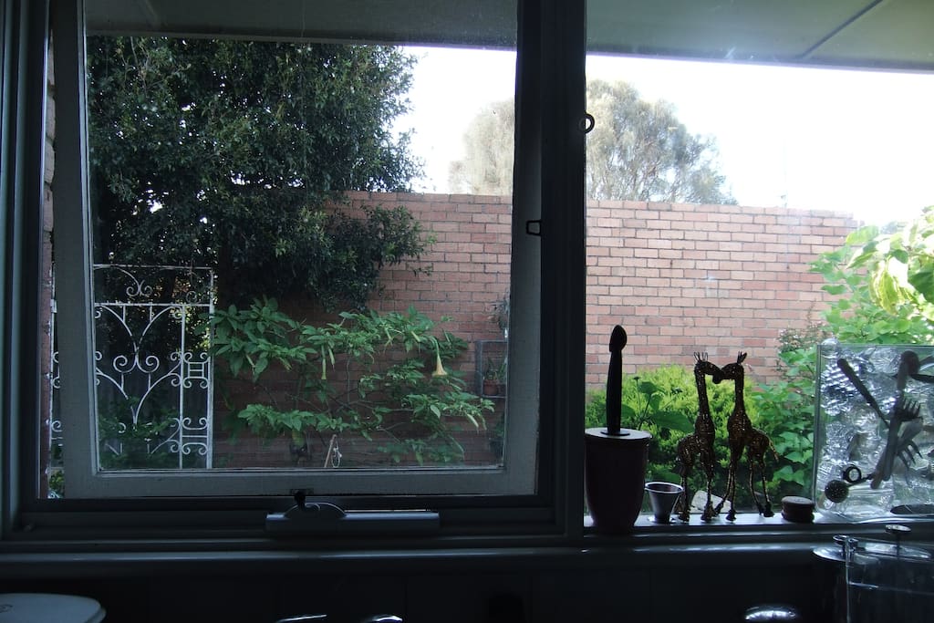Courtyard view from the kitchen