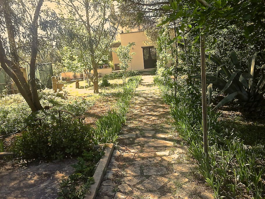 Additional features:
- Animals in the estate: Tibetan goats, ducks, roosters, chickens, cats, dogs, birds, geckos, sometimes fireflies ... all absolutely peaceful
- Possibility of eating organic products produced in the farm managed by Gioia Mazzotta, a wonderful octogenarian
- Straw theatre in the grove
- Bicycles to explore a rural area full of farms abandoned and retrieved (in these country road also jogging can be very pleasant) and reach the stations of Novoli or Carmiano (about 3 km) from where you can take the train line “Ferrovie del Sud Est” *: