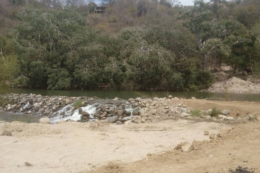 EL RIÓ SIGUE SU CAUSE