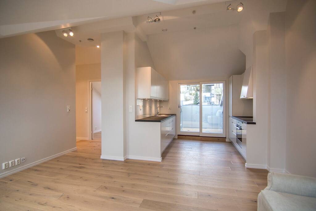 Brand new stylish loft apartment with two bedrooms with fantastic and original details, large living room, kitchen with direct access to private balcony and fully equipped.