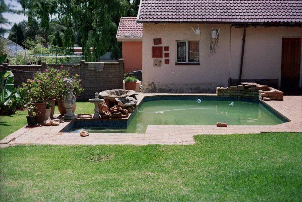 Rear Garden-2