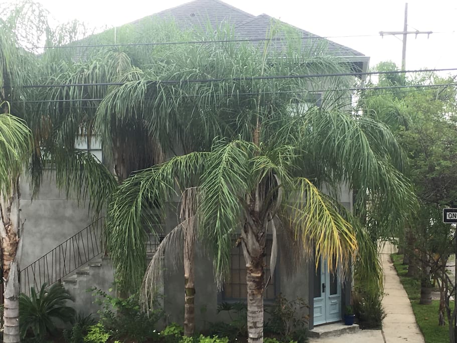 tropical front of house