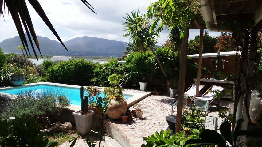 Flamingo House full home rental gallery image 3