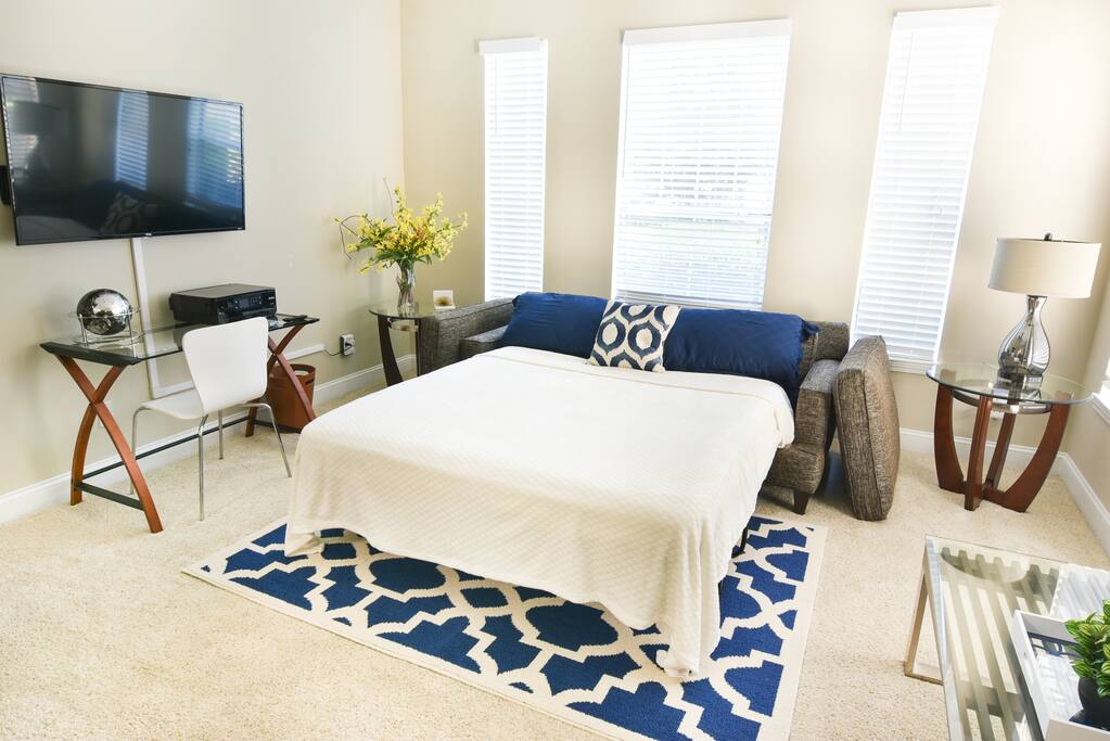 Queen Sleeper Sofa