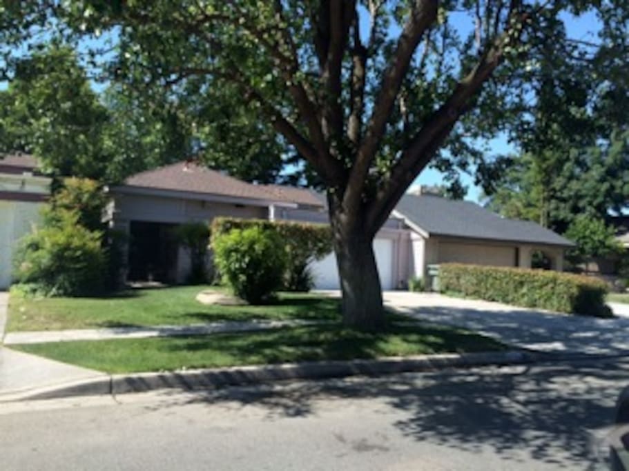 Front Yard