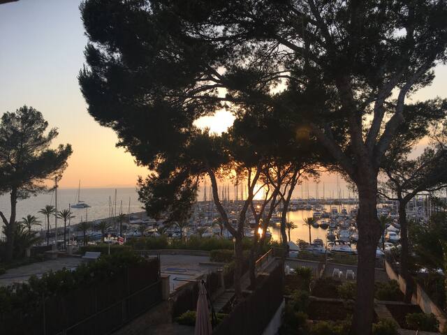 Son Veri d’Abaix derecha gallery image 5