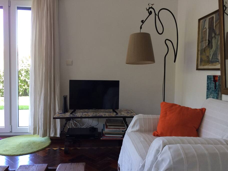 Living room with TV