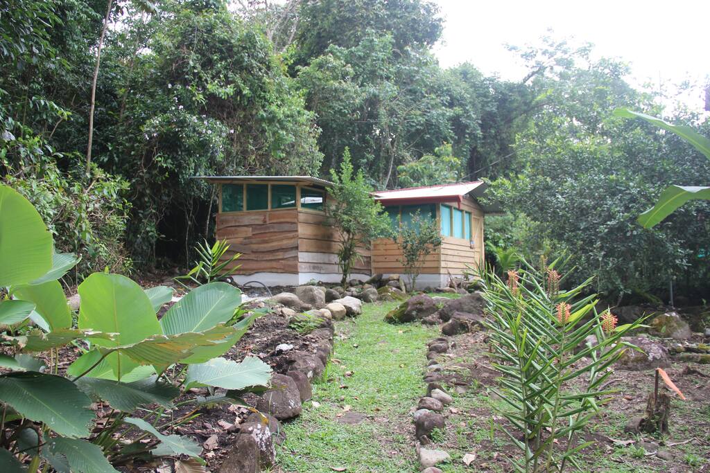 Finca David 100% Natural!