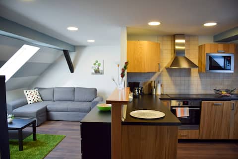 Attic-apartement with a pleasant atmosphere