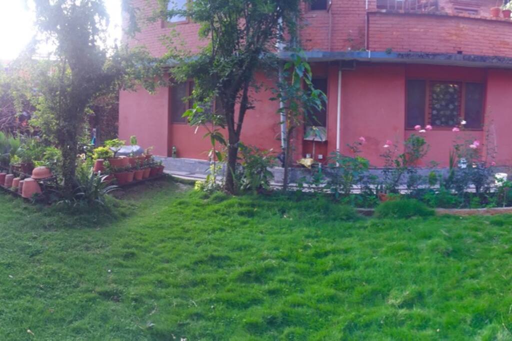 In compound garden green