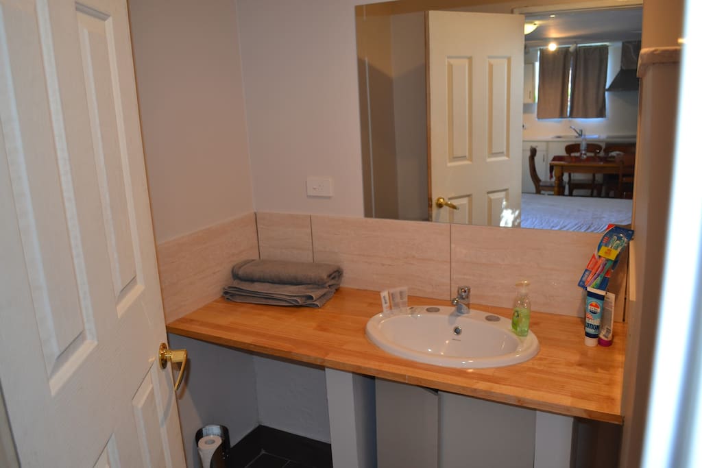 new private bathroom with basic facilities