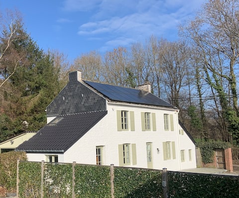 Quiet renovated old house