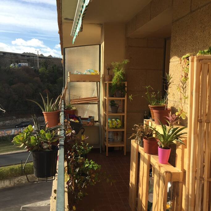 La terrasse