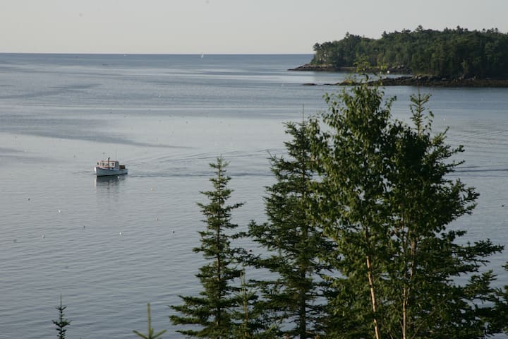 Amazing Ocean Views in South Bristol, ME