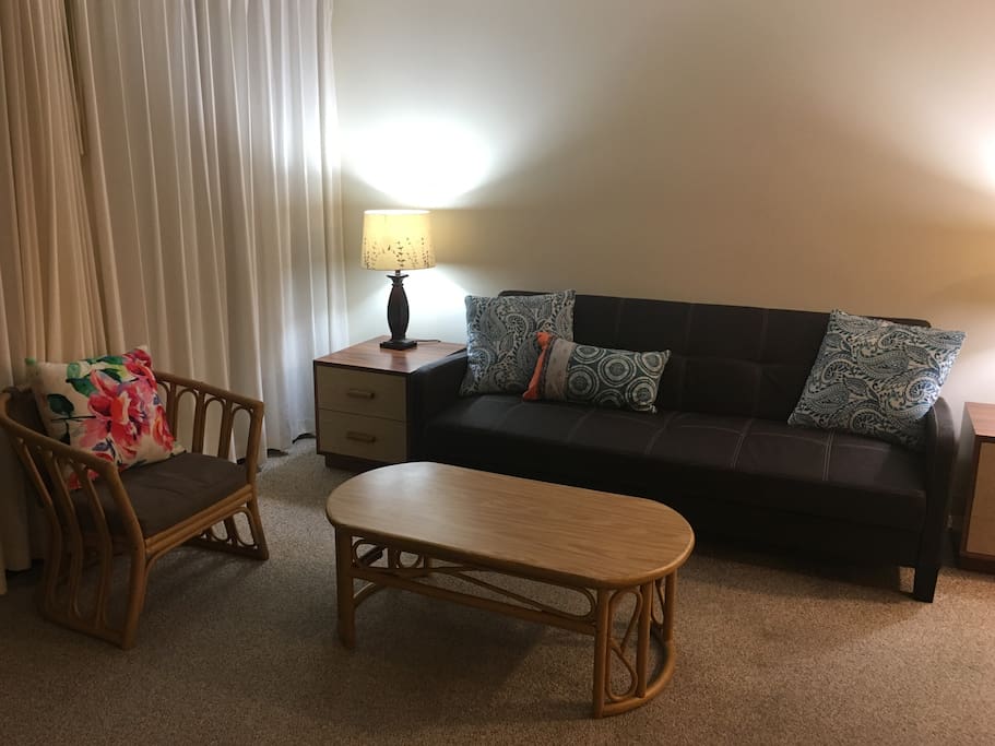 Living room area - Couch folds down and sleeps one