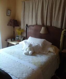 Teddy Bear Guest Room