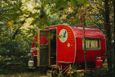 Camp G.R.I.T.S. Camper.