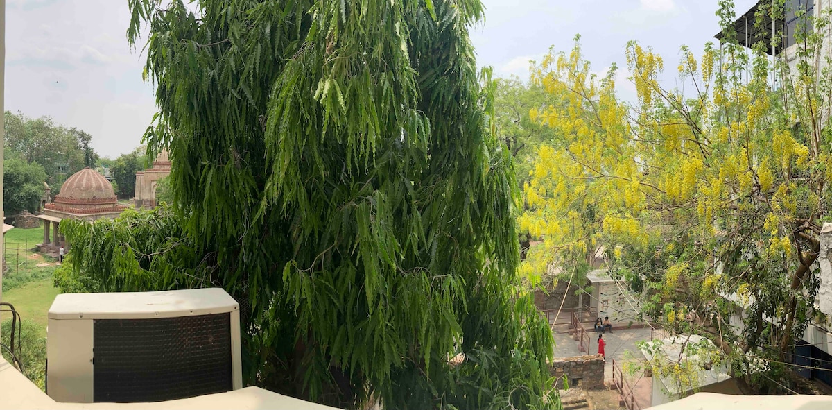 A panoramic view showcases lush green trees in full bloom, complemented by vibrant yellow flowers. In the background, traditional domes from historical structures are visible, set against a clear sky. The serene environment is framed by the natural beauty of the landscape.
