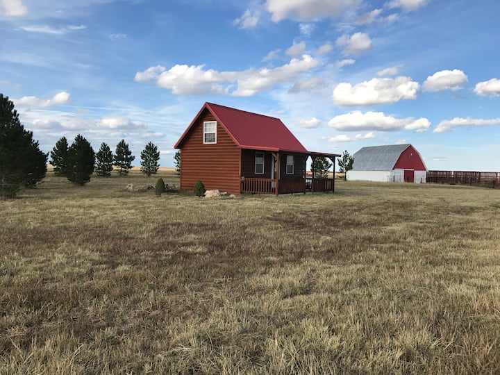 Top 10 PetFriendly Airbnbs In Colorado, USA Updated 2024 Trip101