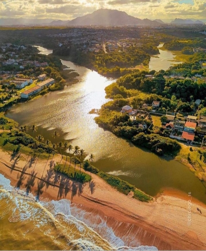 An aerial view captures a serene landscape where a river meets the coastline. Sunlight glistens on the water's surface, reflecting hues of gold. Palm trees cast long shadows on the sandy beach, which gently curves along the water's edge, leading to lush greenery and distant hills.