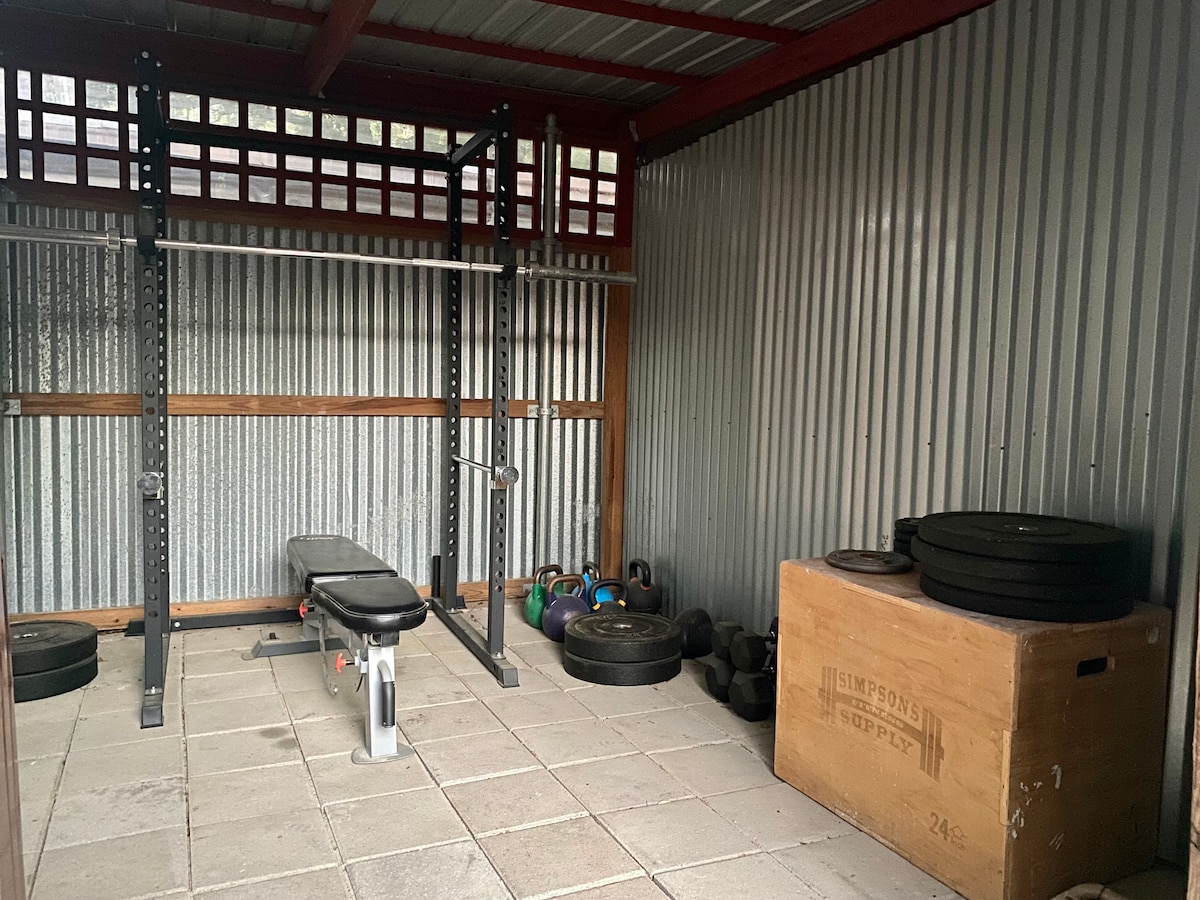 Sunny Backyard One Bedroom Apartment in Hyde Park