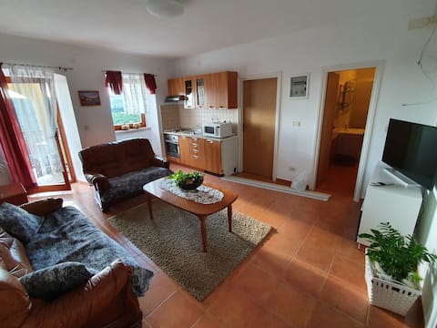 Successful Airbnb property: Villa Marija in Ripenda Kras