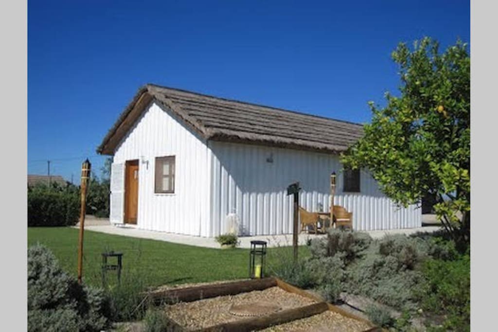 White wood house