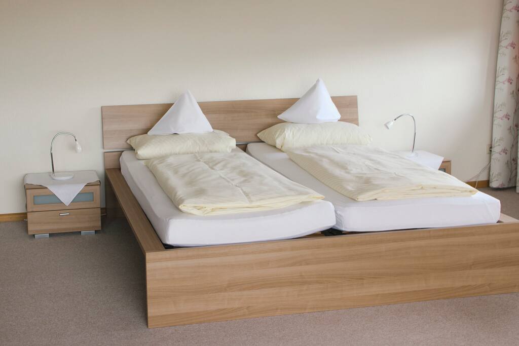 Bed / Living Room