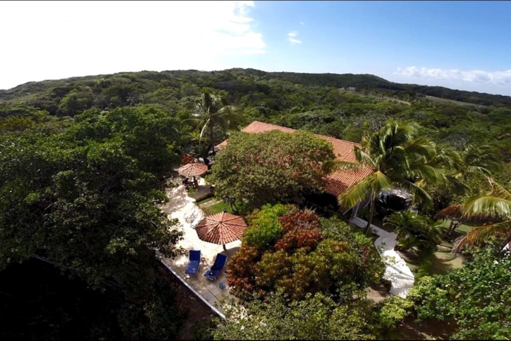 Vista Aérea x Santuário Ecológico