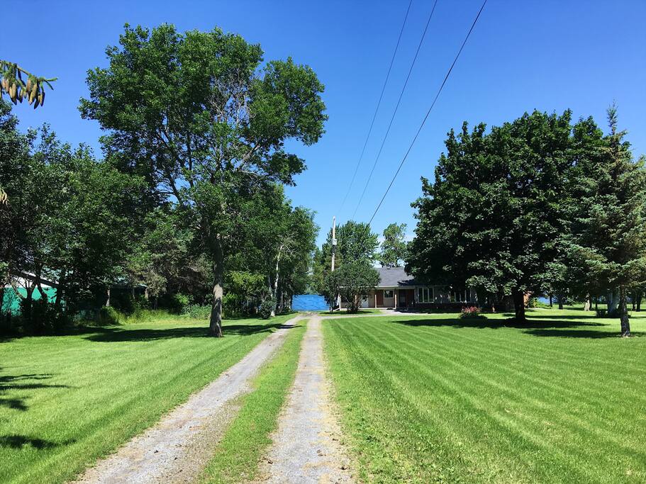 The long driveway into the house with the lake at the end.